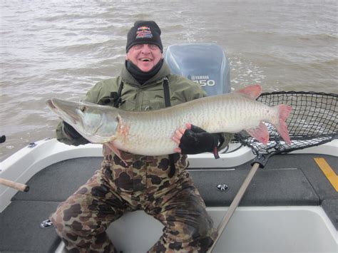 Unusual but Exciting Musky Catches in Wisconsin
